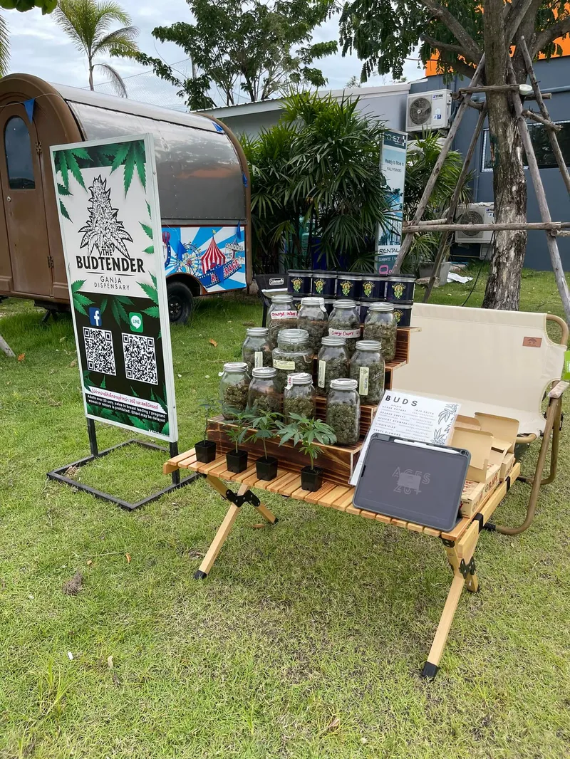 The Budtender - Ganja Dispensary