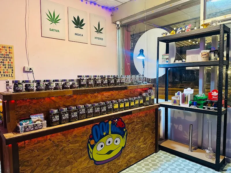 ร้านกัญชาใกล้ฉัน The Galaxy Weed by.เอก