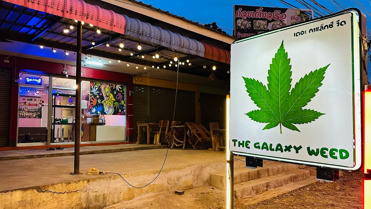 ร้านกัญชาใกล้ฉัน The Galaxy Weed by.เอก