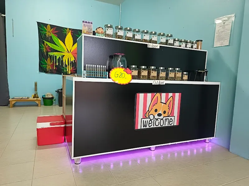 ร้านหัวใจกัญชา The Heart Weed by. แทน