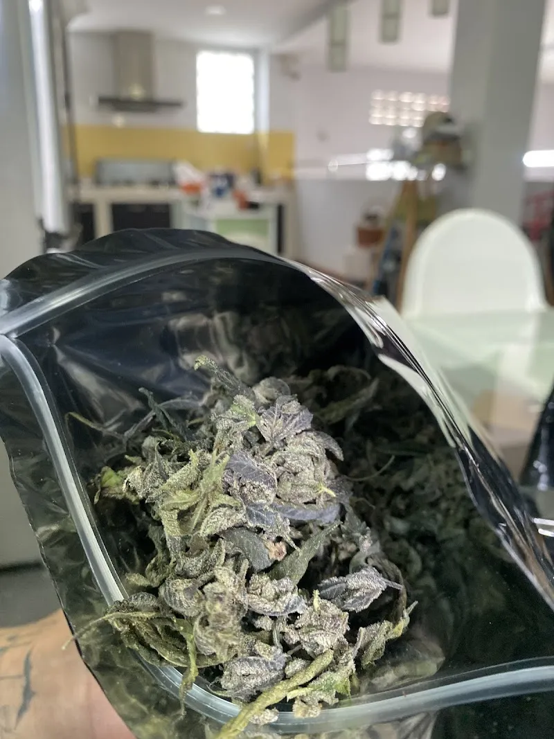 The SUD Hybrid (ST.Cannabis ทุ่งขนาน)