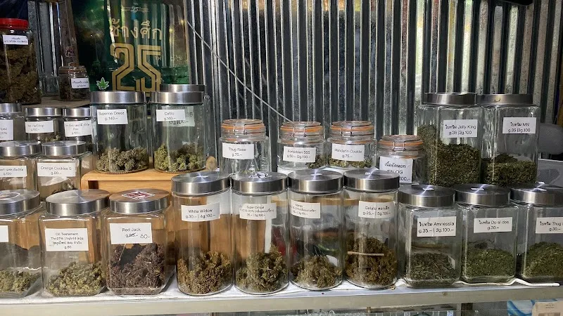 The SUD Hybrid (ST.Cannabis ทุ่งขนาน)