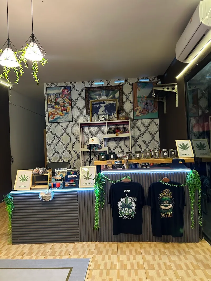 Tle Cannabis(Weed Shop)