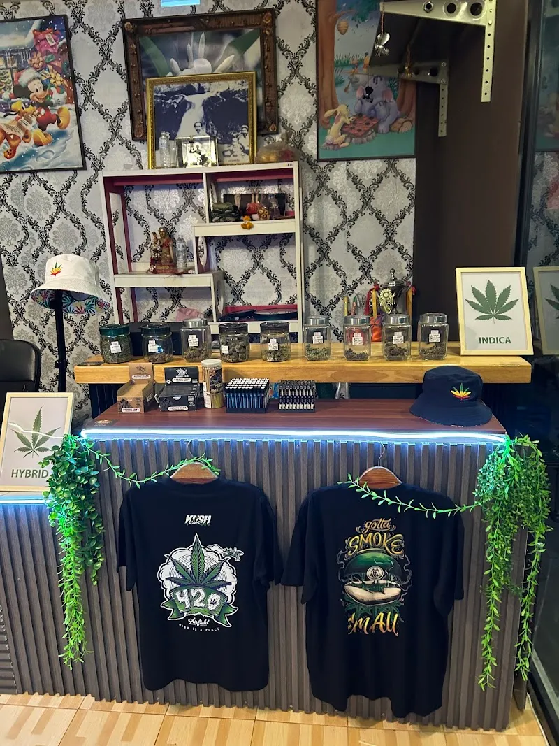 Tle Cannabis(Weed Shop)