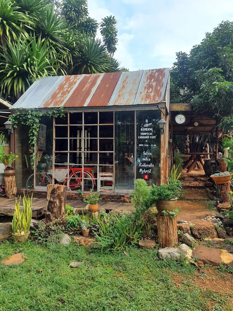Tropical Cannabis cafe