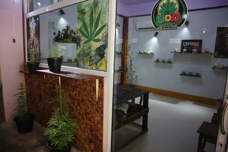 UDD CANNABIS