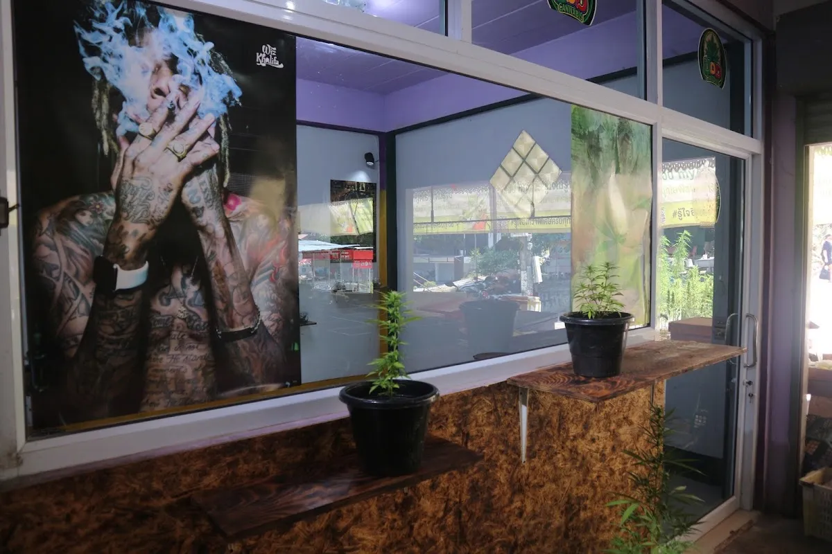 UDD CANNABIS
