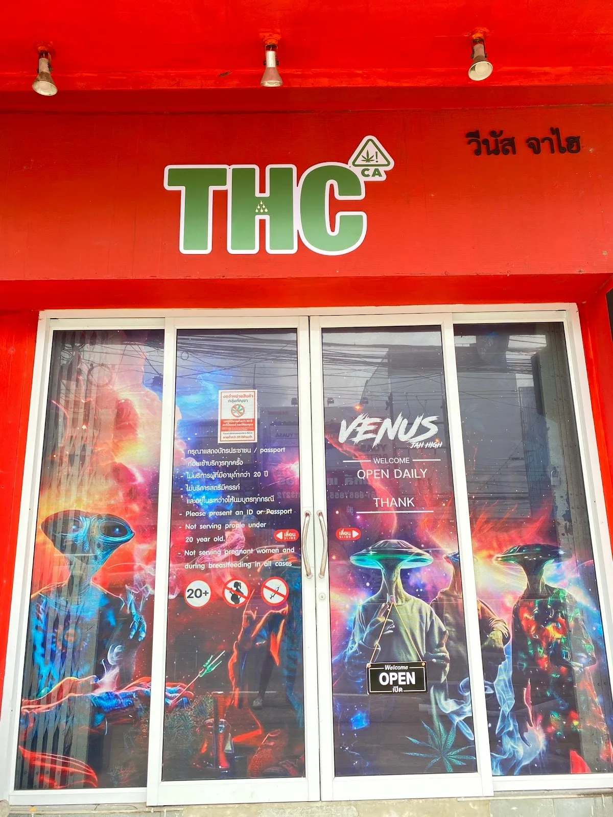 Venus cannabis กัญชาอุบล