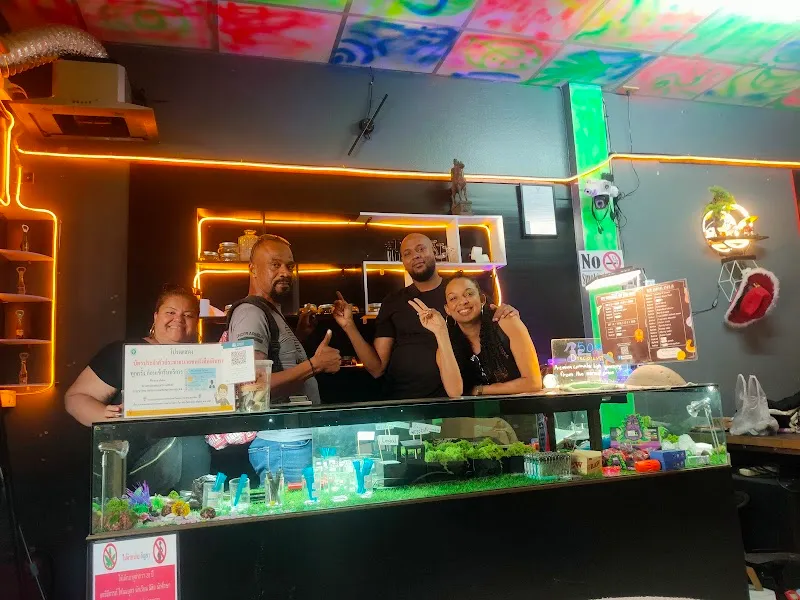 Weed Cafe