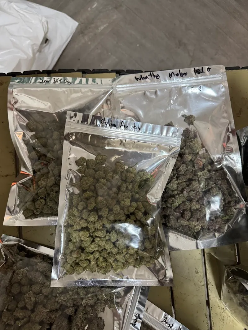 Weed Center-ร้านกัญชาใกล้ฉัน