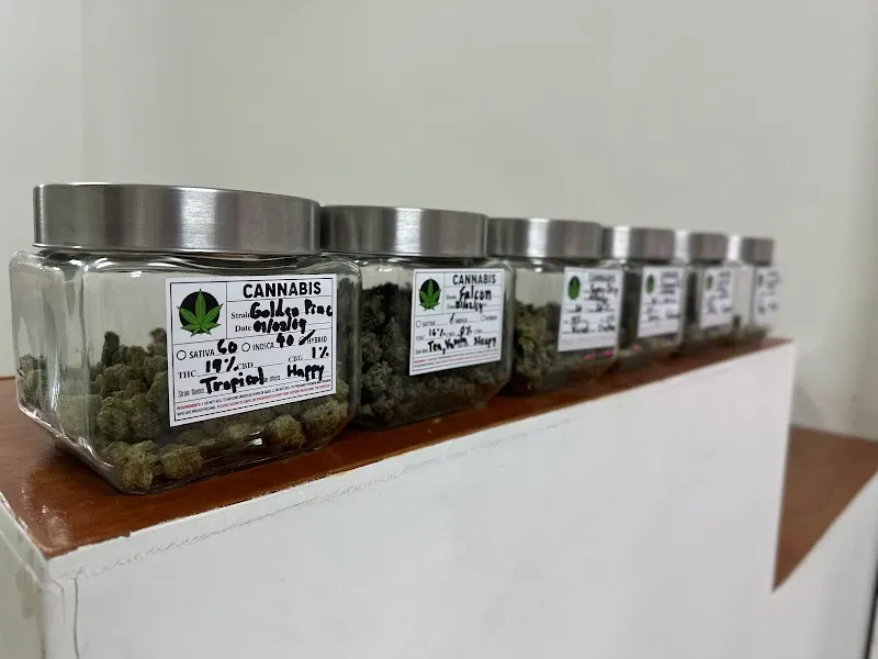 Weed Center-ร้านกัญชาใกล้ฉัน