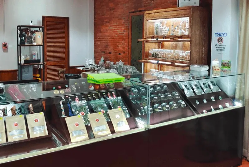 Weed Connection Chiang Mai