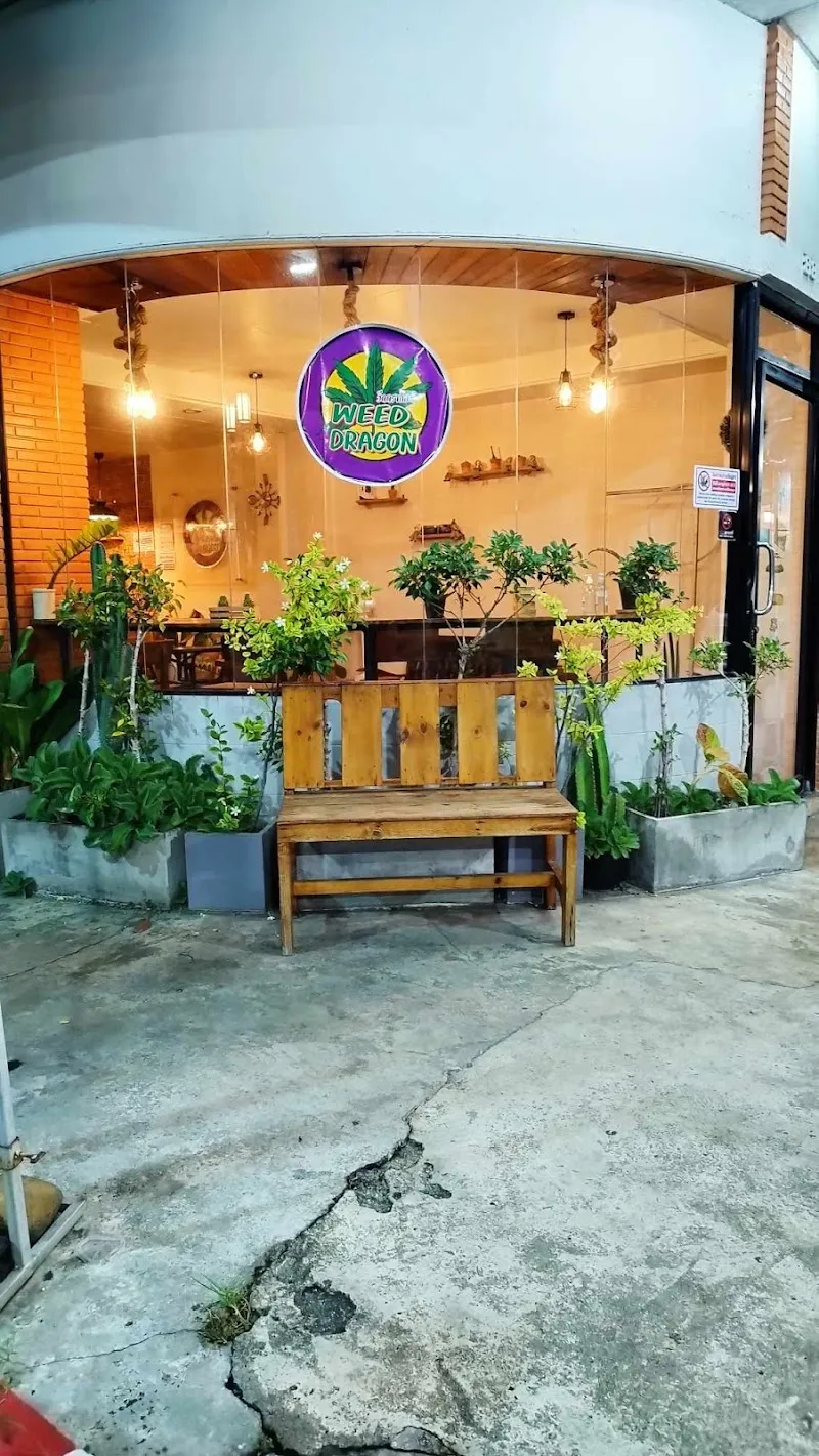 Weed Dragon Hatyai Cannabis Shop