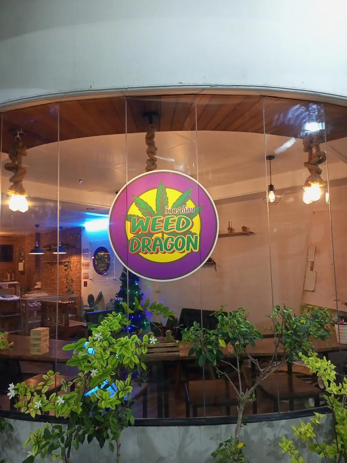 Weed Dragon Hatyai Cannabis Shop