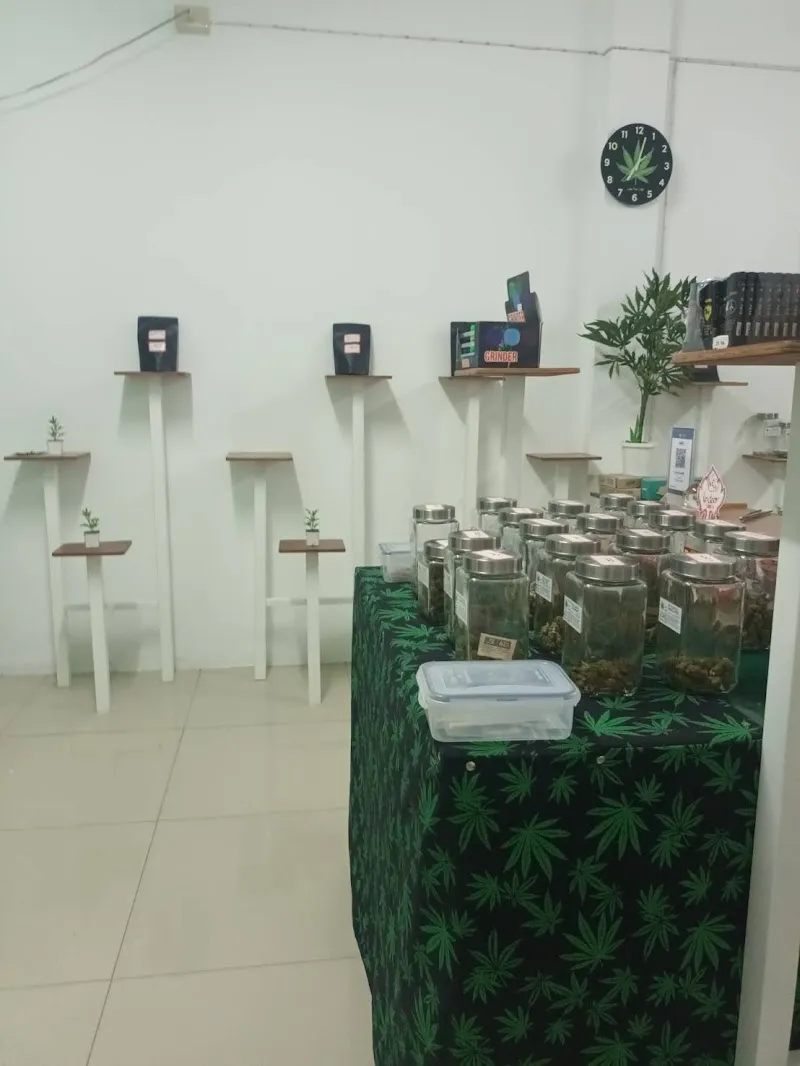 Weed Hi CC