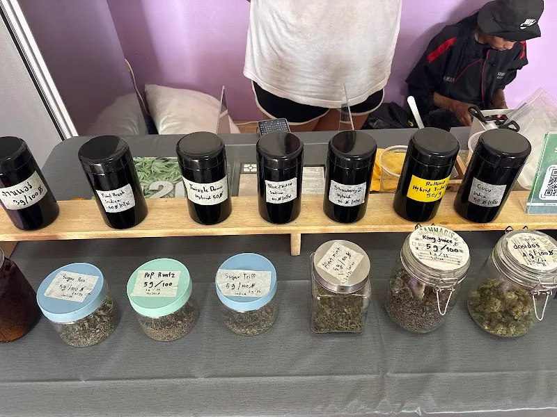 กัญชาใกล้ฉัน กัญชาศิริการจันทบุรี weed shop cannabis chanthaburi ออไทม์ไฮ