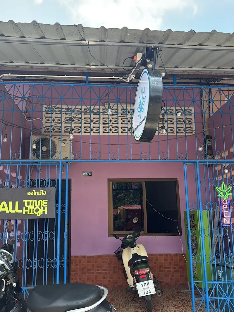 กัญชาใกล้ฉัน กัญชาศิริการจันทบุรี weed shop cannabis chanthaburi ออไทม์ไฮ