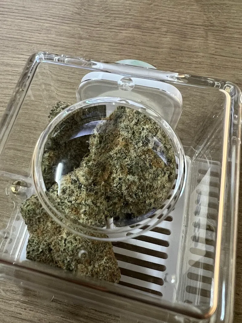 กัญชาจันทบุรี Weed Shop Retail/Wholesale Cannabis Chanthaburi ร้านกัญชาใกล้ฉัน 3HC(ทีเอชซี)