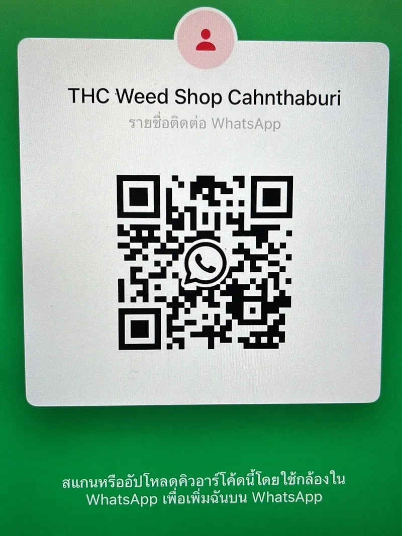 กัญชาจันทบุรี Weed Shop Retail/Wholesale Cannabis Chanthaburi ร้านกัญชาใกล้ฉัน 3HC(ทีเอชซี)