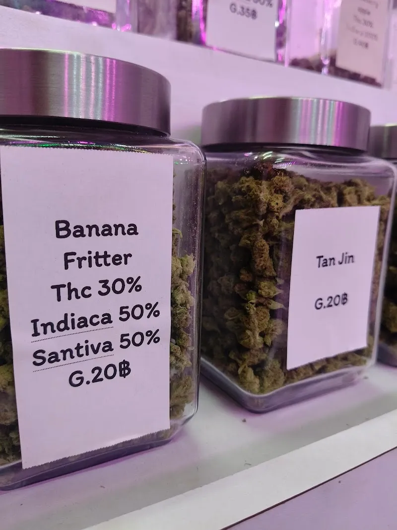 WEED WORLD Surat Thani