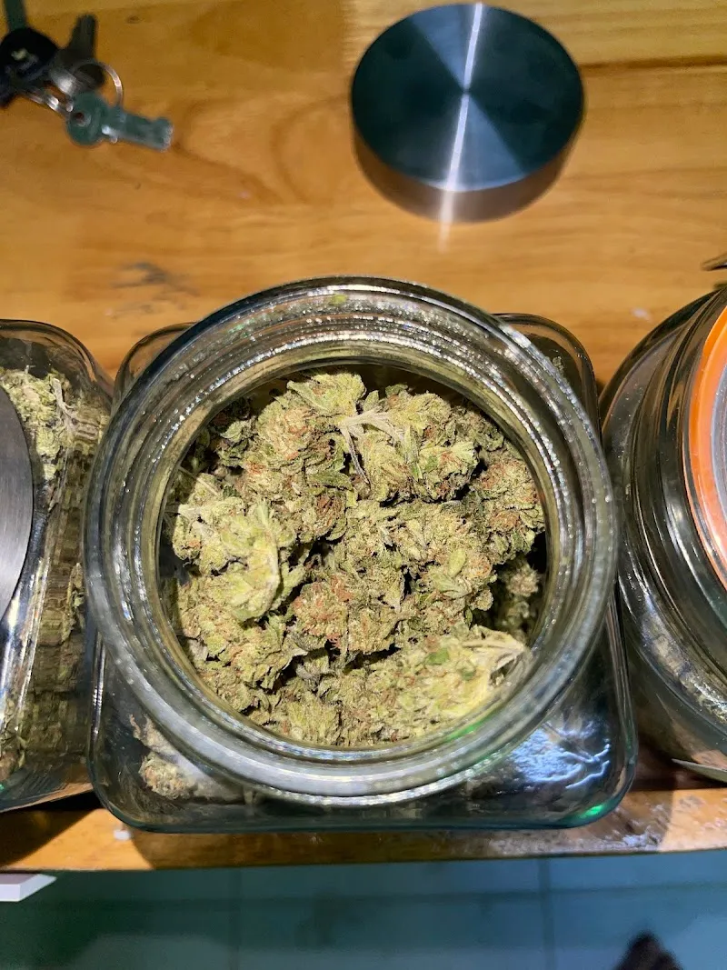 WeedDay Cannabis Udonthani