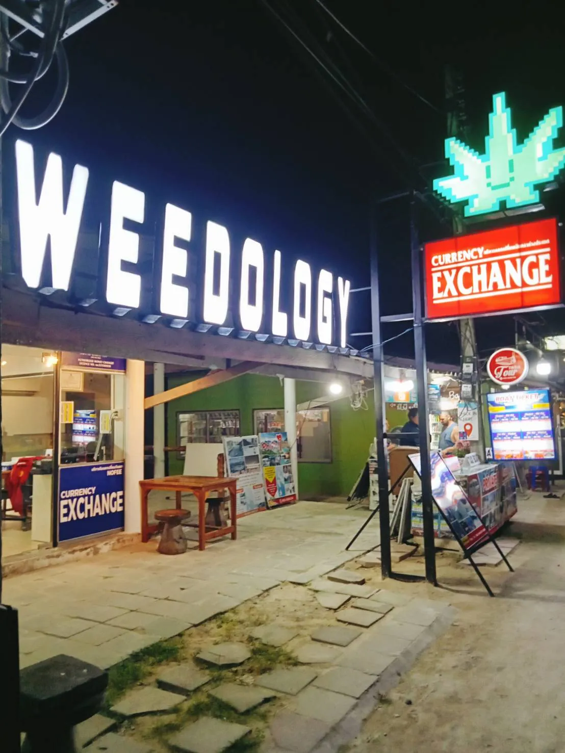 Weedology Cannabis Culture Phi Phi 1