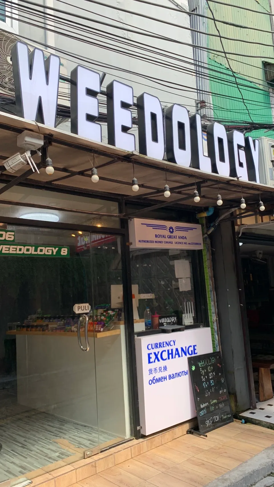 Weedology Cannabis Culture Phi Phi 2