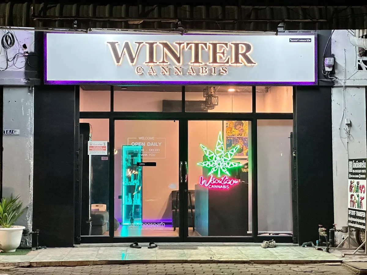 Winter Cannabis