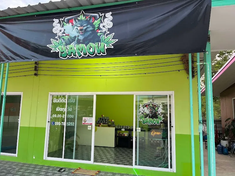 ร้านกัญชา Yamow