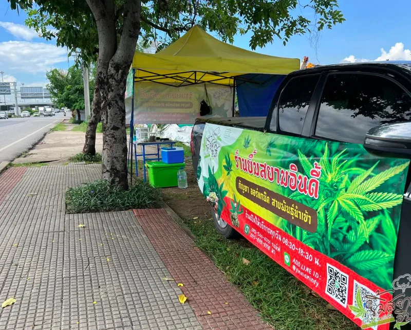 Yim Siam Indy Organic Cannabis