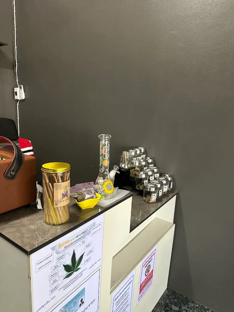 ZEEZUAR Cannabis Shop (ร้านกัญชาซี้ซั้ว)