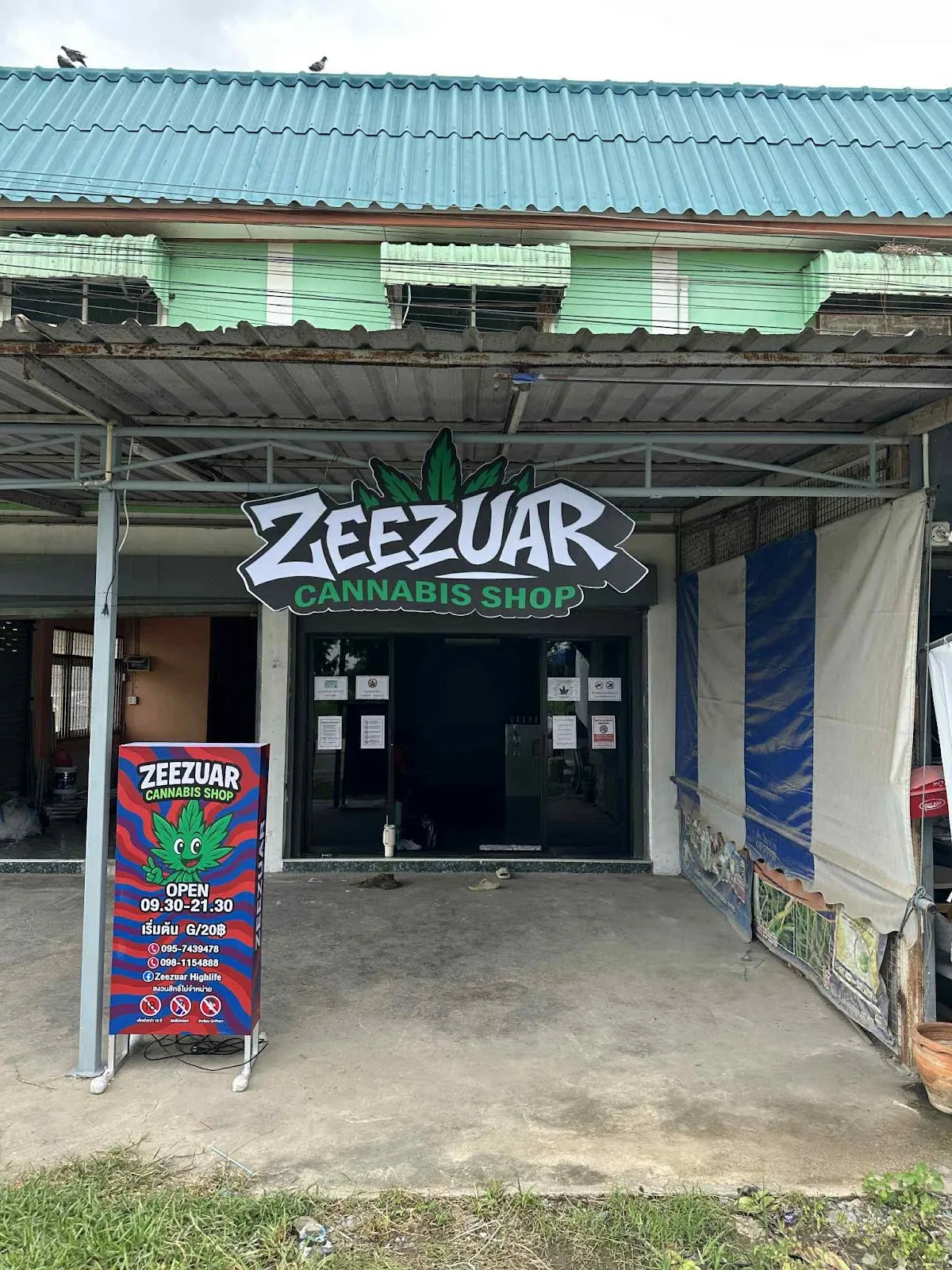 ZEEZUAR Cannabis Shop (ร้านกัญชาซี้ซั้ว)