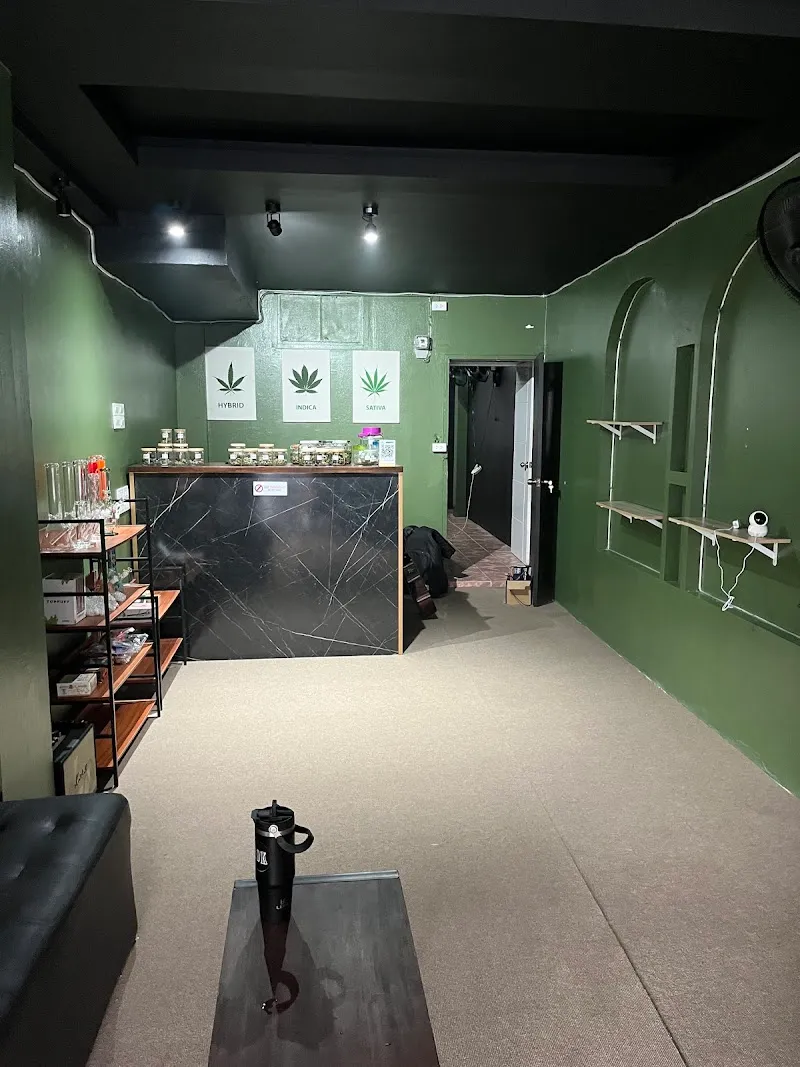 Zone Cannabis 30kanya