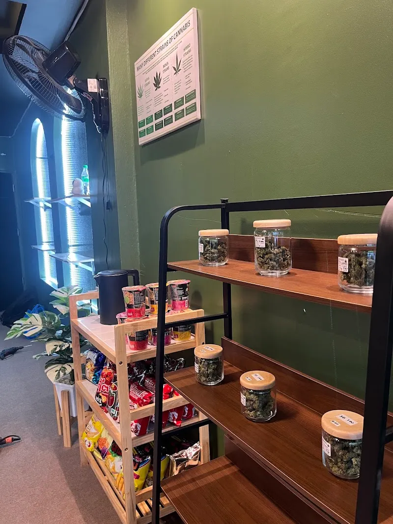 Zone Cannabis 30kanya