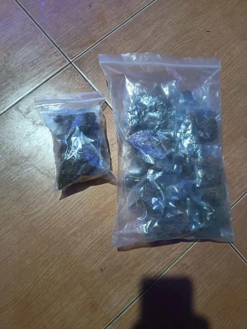 ! 420KHOT!HIGH SHOP สวนหน้าบ้านฟาร์ม