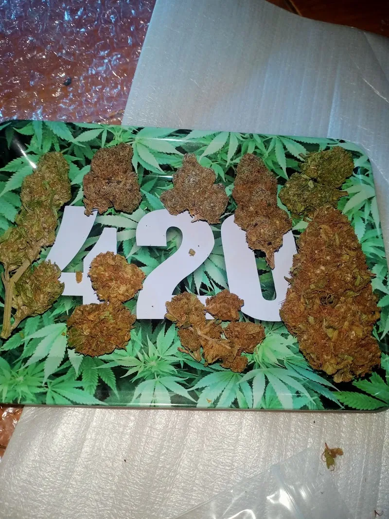 ! 420KHOT!HIGH SHOP สวนหน้าบ้านฟาร์ม