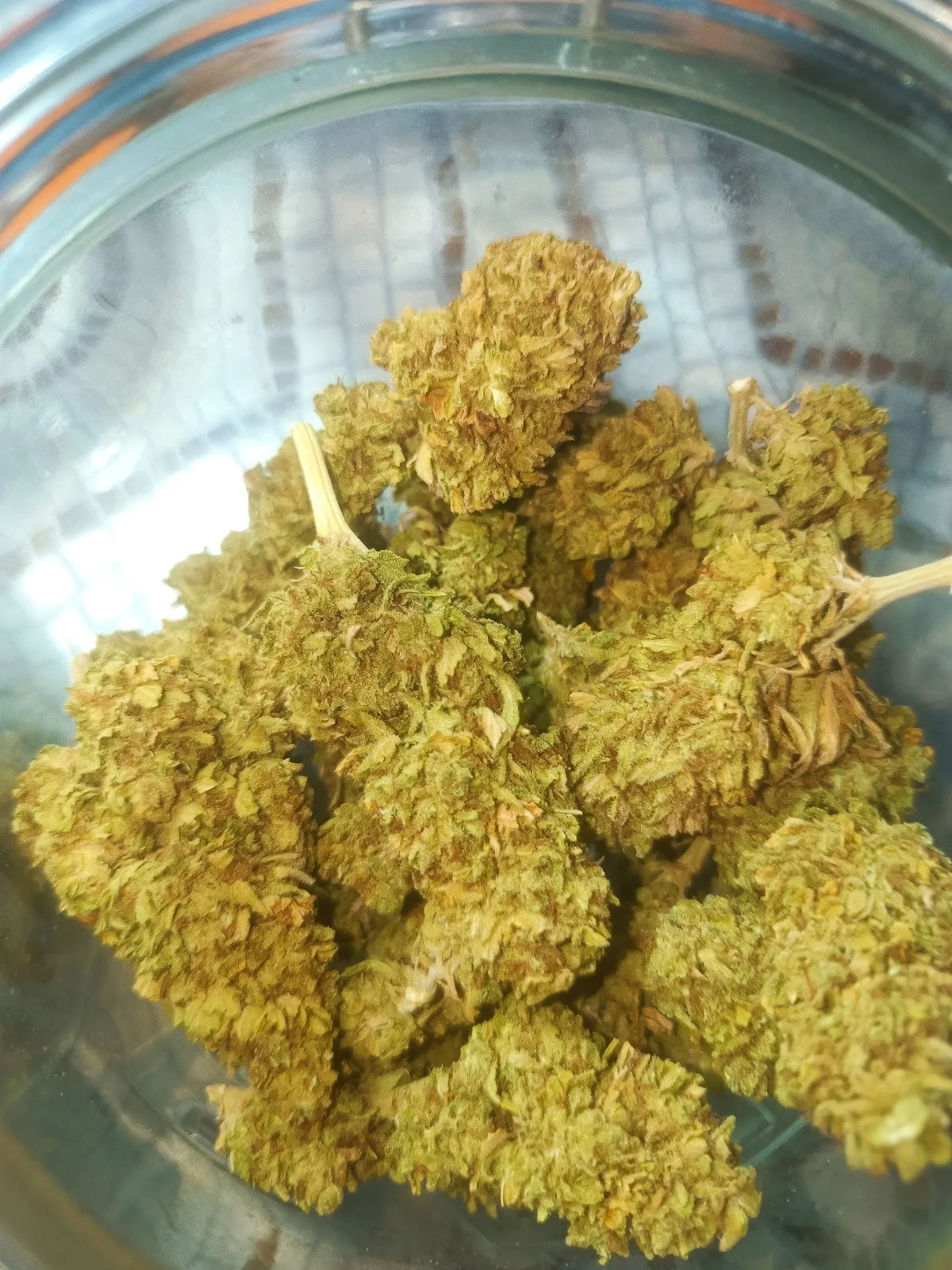 ! 420KHOT!HIGH SHOP สวนหน้าบ้านฟาร์ม