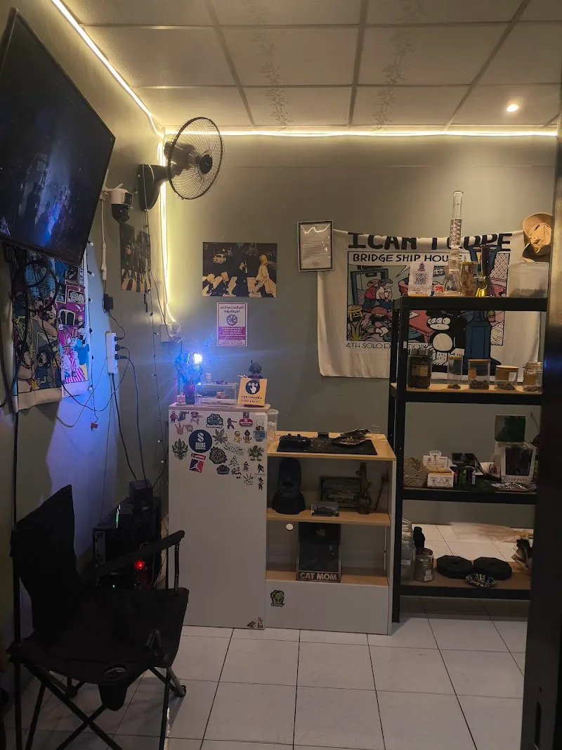 Cannabis shop by Cat Demon Farm