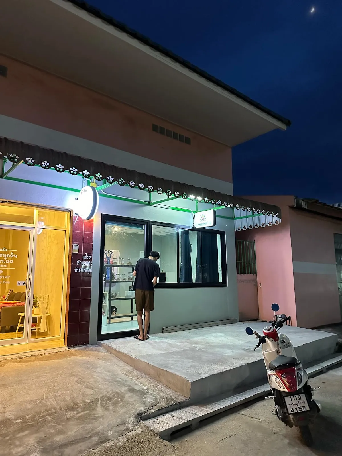 Cannabis shop by Cat Demon Farm