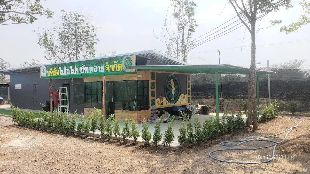 ไร่.. มีกาญและกัญ Cannabis Store & Farm