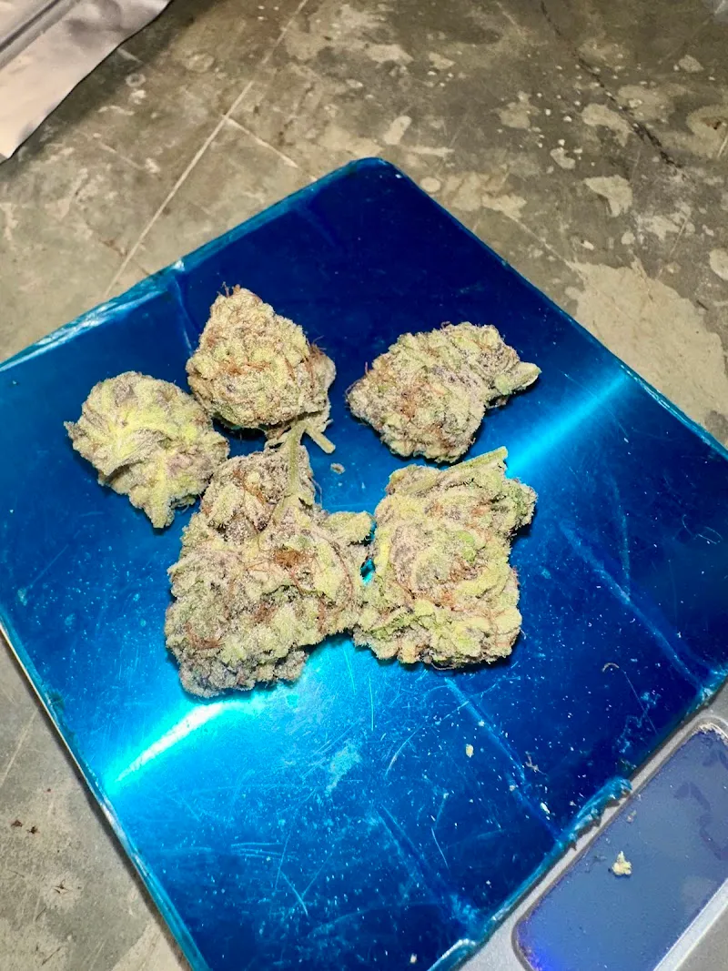 Cannabis Super Jack Farm