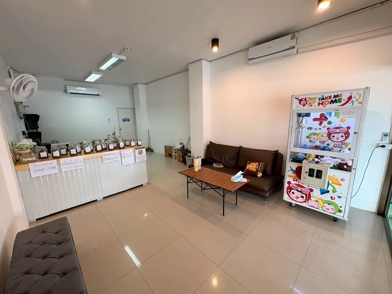 ร้านกัญชาฟาร์มพี่กร Cannabis