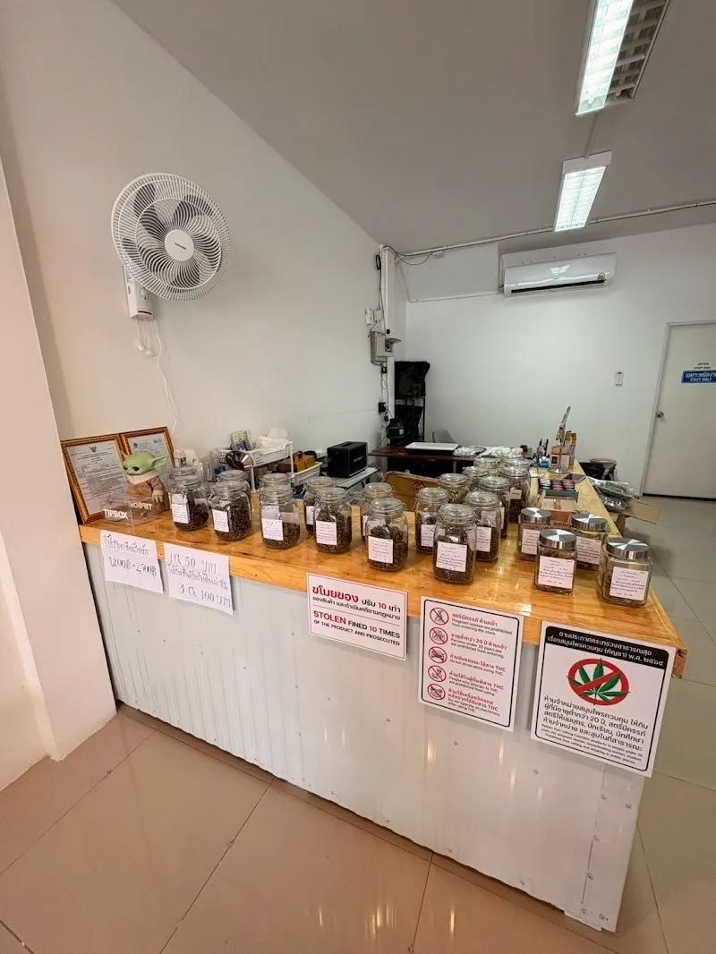 ร้านกัญชาฟาร์มพี่กร Cannabis