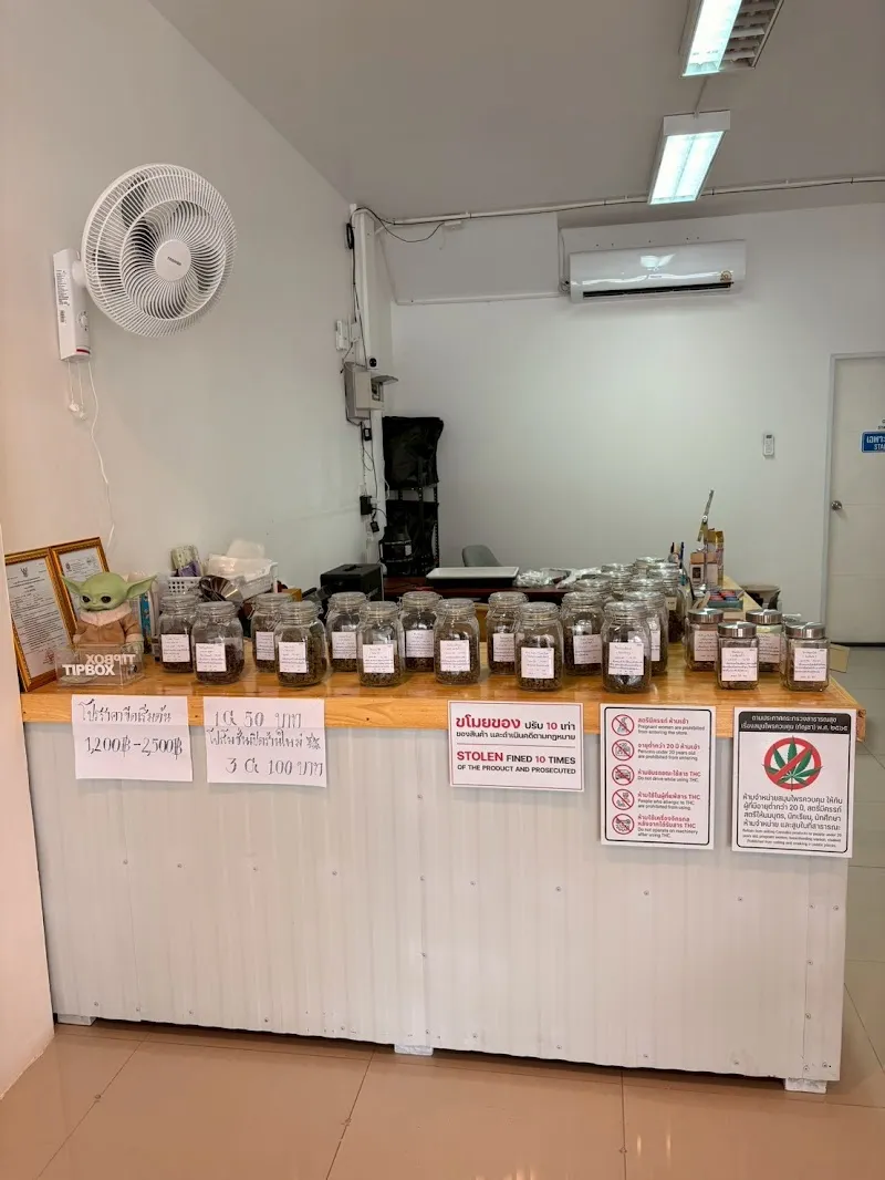 ร้านกัญชาฟาร์มพี่กร Cannabis