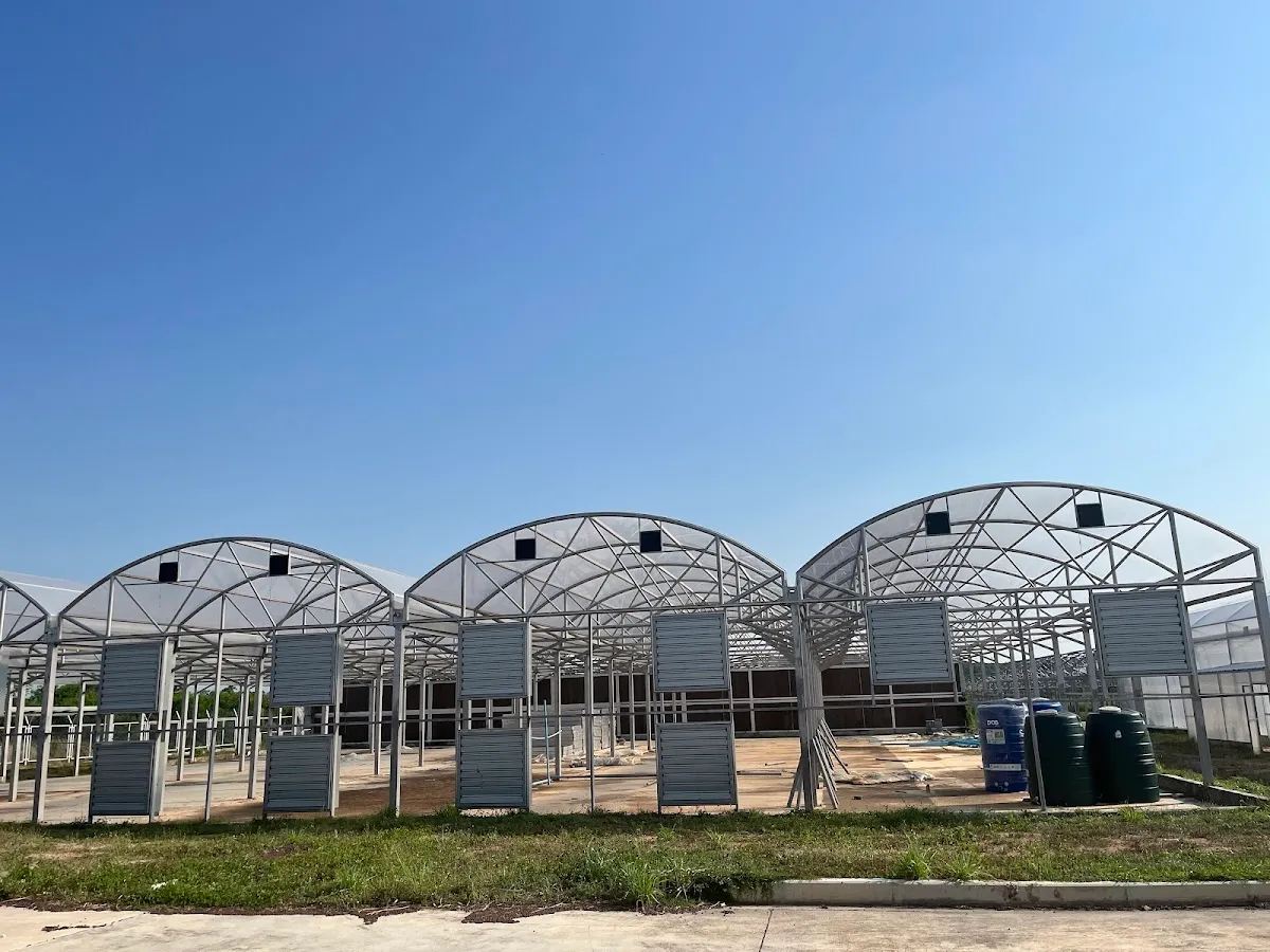 CBD Expert Hemp Farm