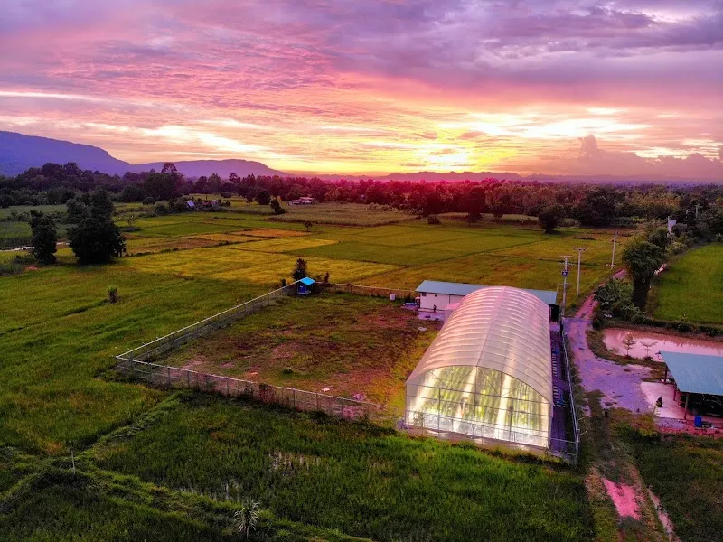 Cbweedy Organic Farm - Chaiyaphum
