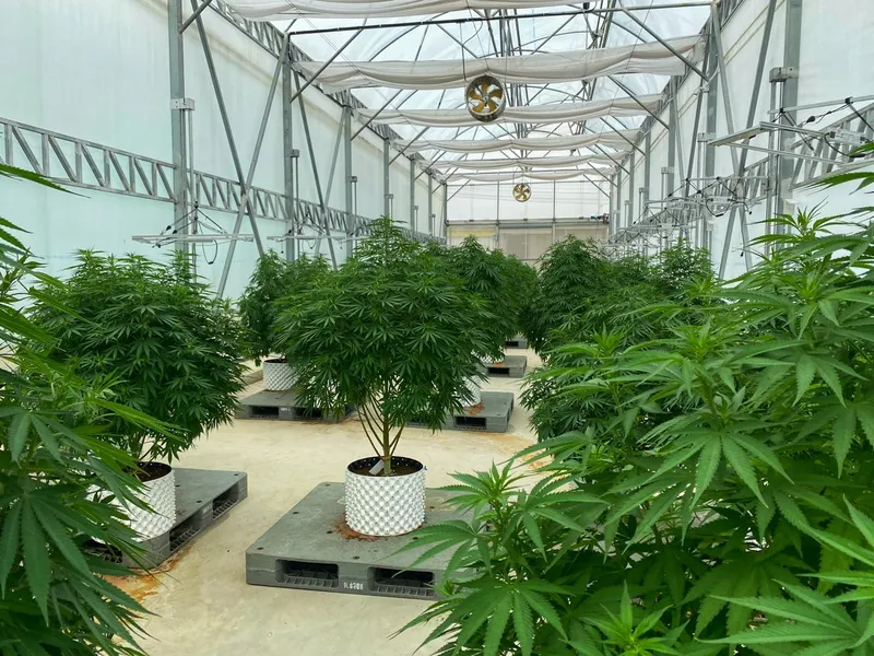 Community enterprise Agriculture outside the box for a sustainable smile วิสาหกิจชุมชน เกษตรนอกกรอบเพื่อรอยยิ้มที่ยั่งยืน