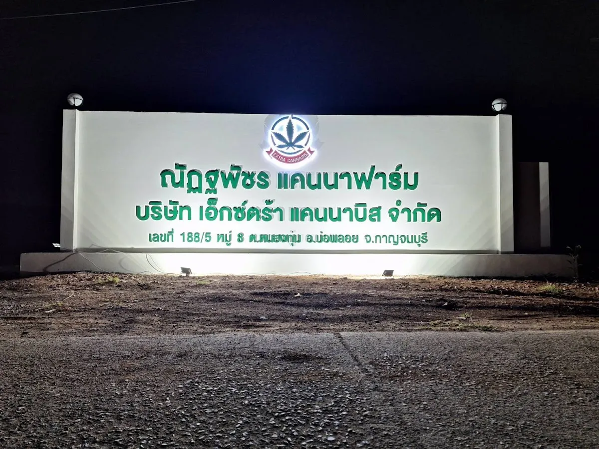 EXTRA CANNABIS CO.,LTD บริษัท เอ็กซ์ตร้า แคนนาบิส จำกัด