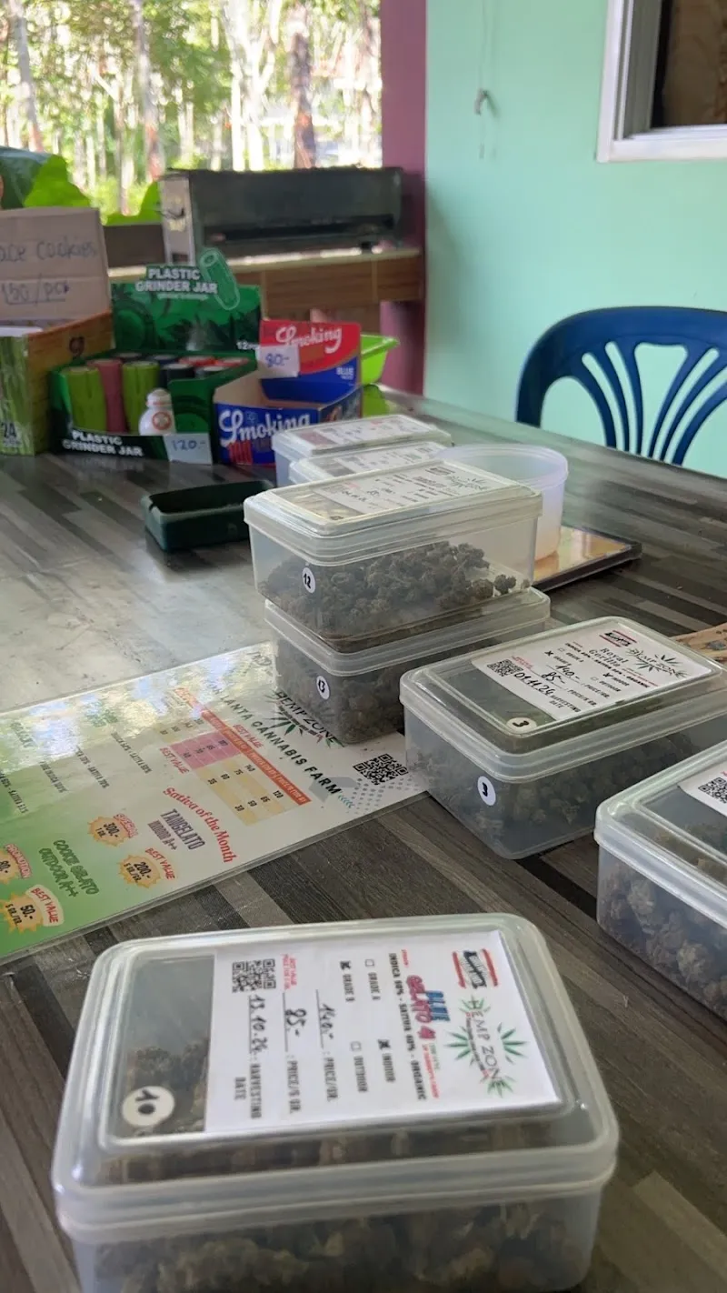 Hemp Zone Thailand (Cannabis Farm & Shop)