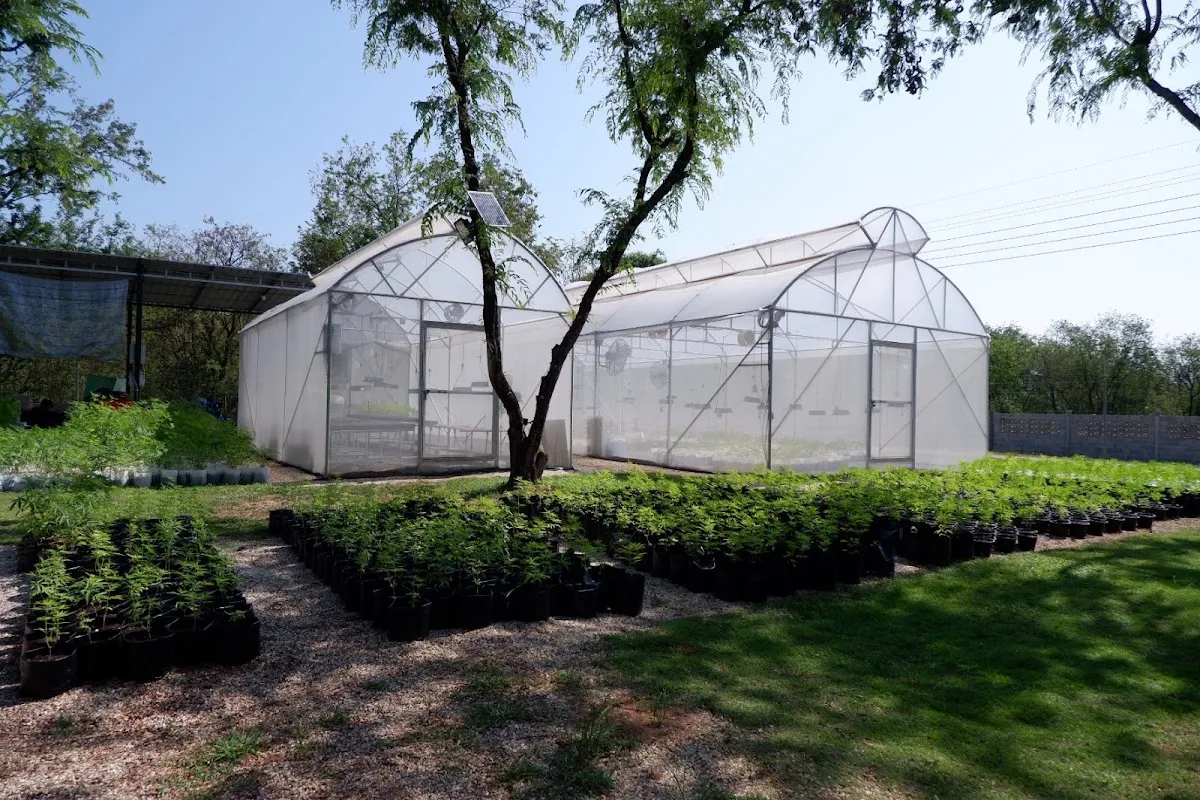 เฮมพ์ฮับฟาร์ม Hemphub Farm